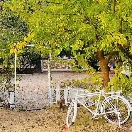Κάμπινγκ Yol Glamping *