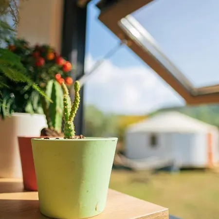 Campsite Yol Glamping *