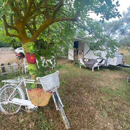 Yol Glamping *